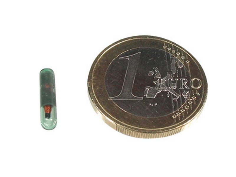 motogadget m-Lock Armatur Key Glasröhre