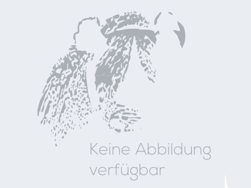 Hepco & Becker Tankschutzbügel Suzuki V-Strom 1000 ABS (2017- | schwarz)